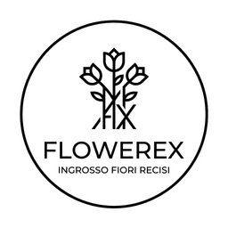 Flowerex — Ingrosso Fiori Recisi